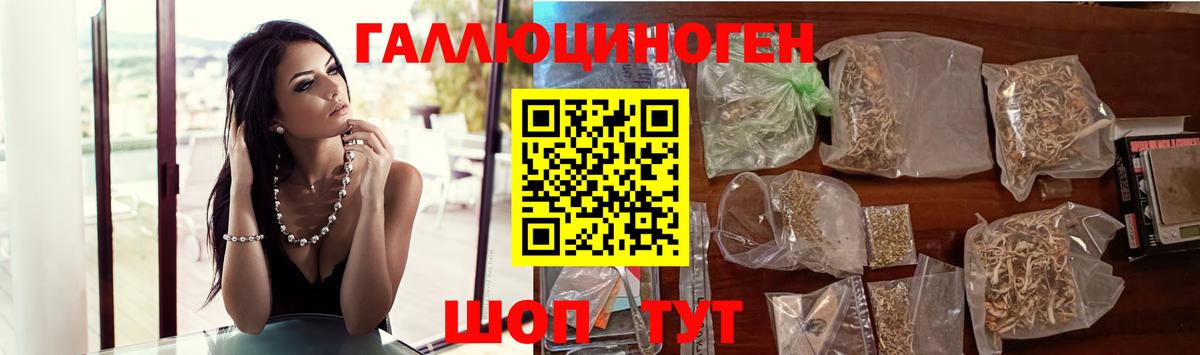 Псилоцибиновые грибы Psilocybine cubensis  Вход с VPN  Вязники 
